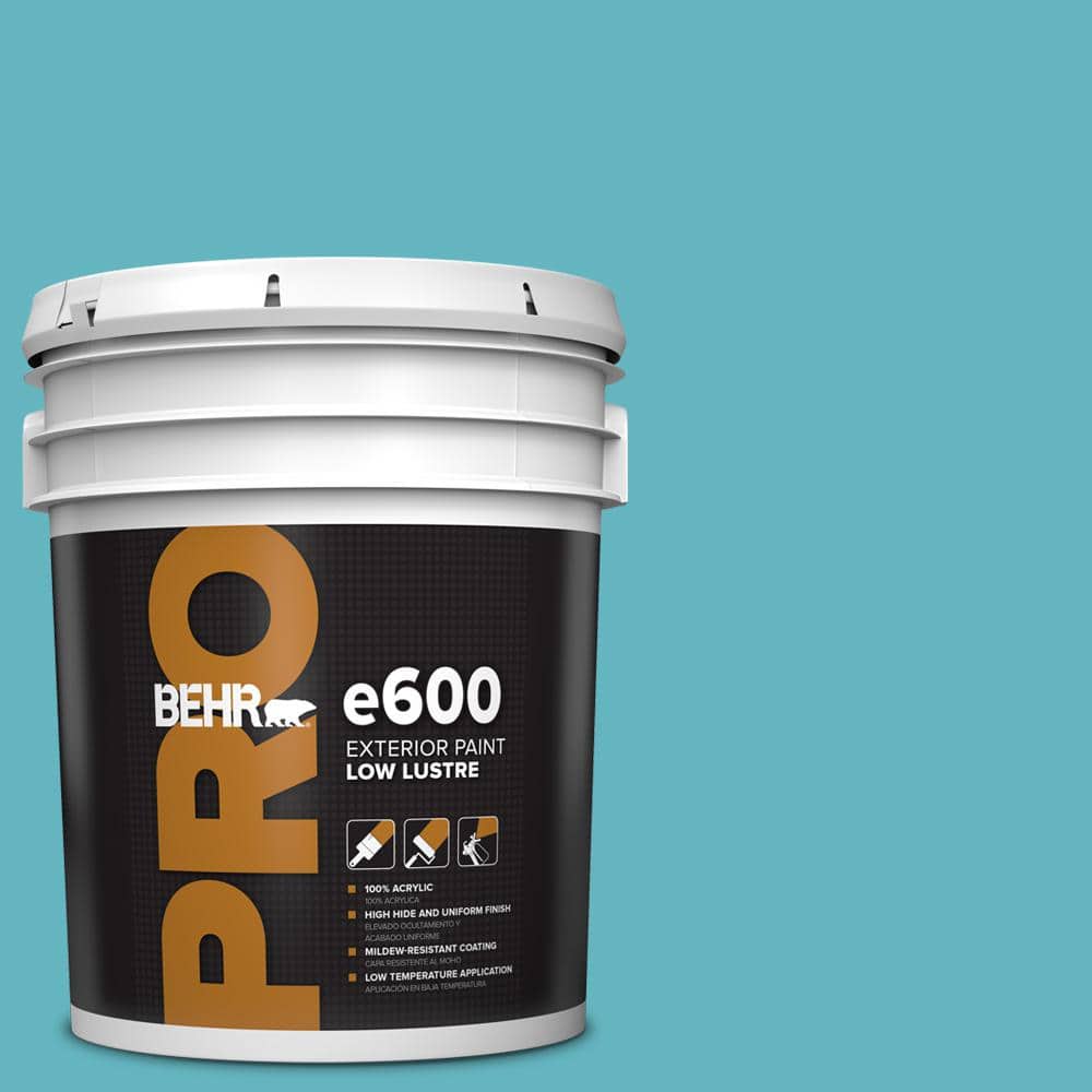 BEHR PRO 5 gal. #MQ4-51 Adonis Low Luster Exterior Paint