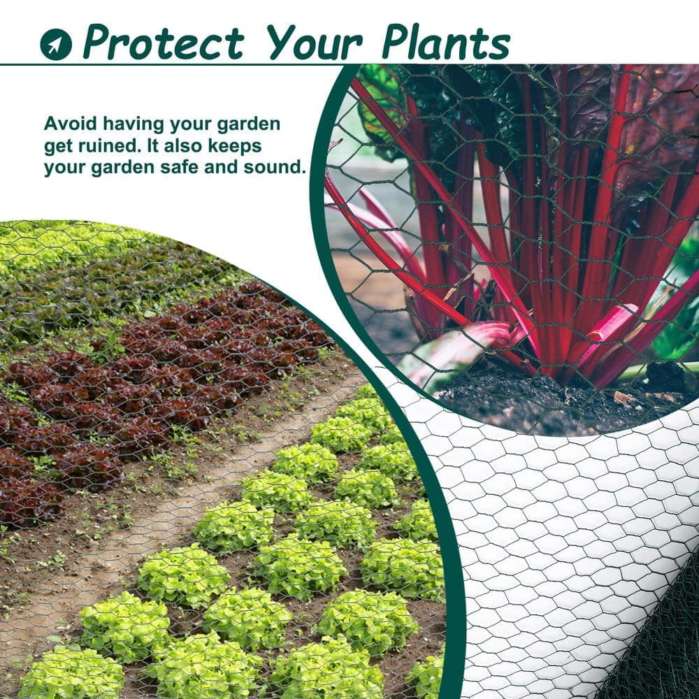 PDTEND 3.6 ft. x 196.85 ft. Outdoor 1.57 in. x 1 in. 19 Gauge Green Galvanized Hexagonal Anti-Rust Chicken Wire Poultry Netting (2)