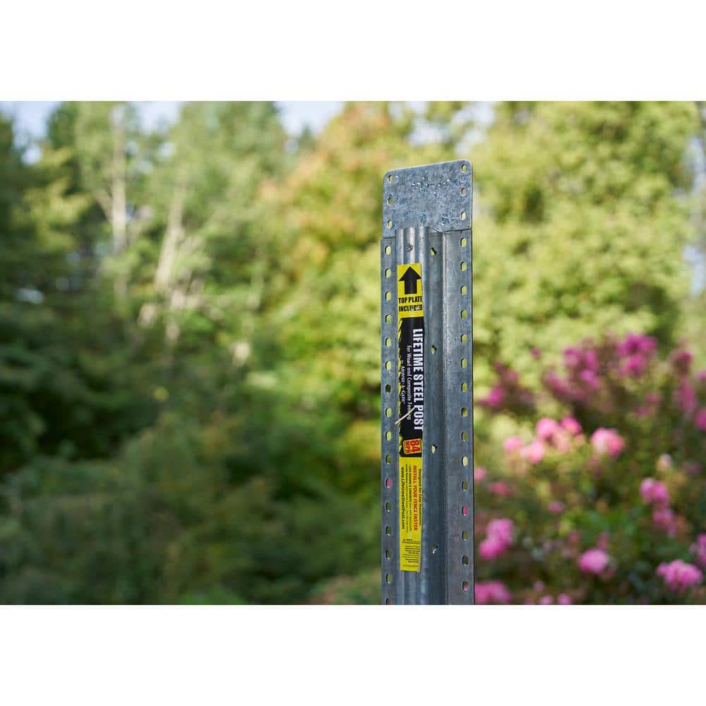 LIFETIME STEEL POST 4 in. x 7 ft. Powder Coated Clear Galvanized Steel with Top Plate for In-Ground Line Applications Metal Fence Post