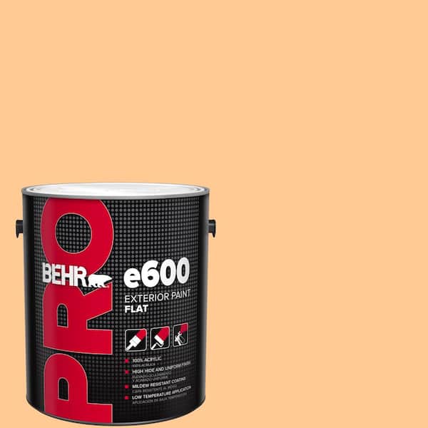 BEHR PRO 1 gal. #280B-4 Apricot Light Flat Paint (2)