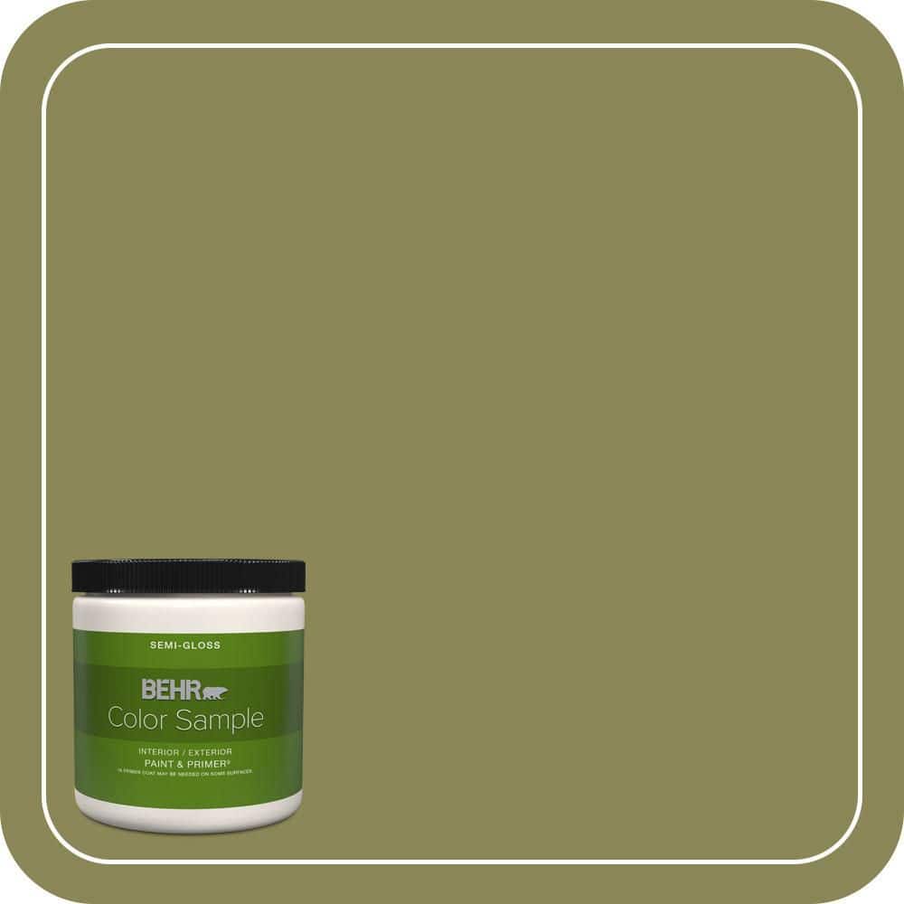 BEHR PREMIUM PLUS #S340-6 Fertile Green Flat Interior/Exterior Paint & Primer Color Sample (1)