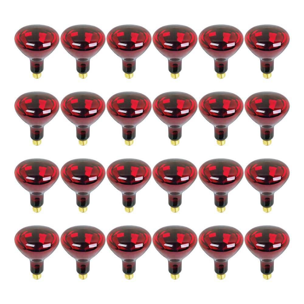 Feit Electric 250-Watt BR40 Red Reflector E26 Heat Lamp Dimmable 120-Volt Infrared Incandescent Light Bulb(24-Pack)