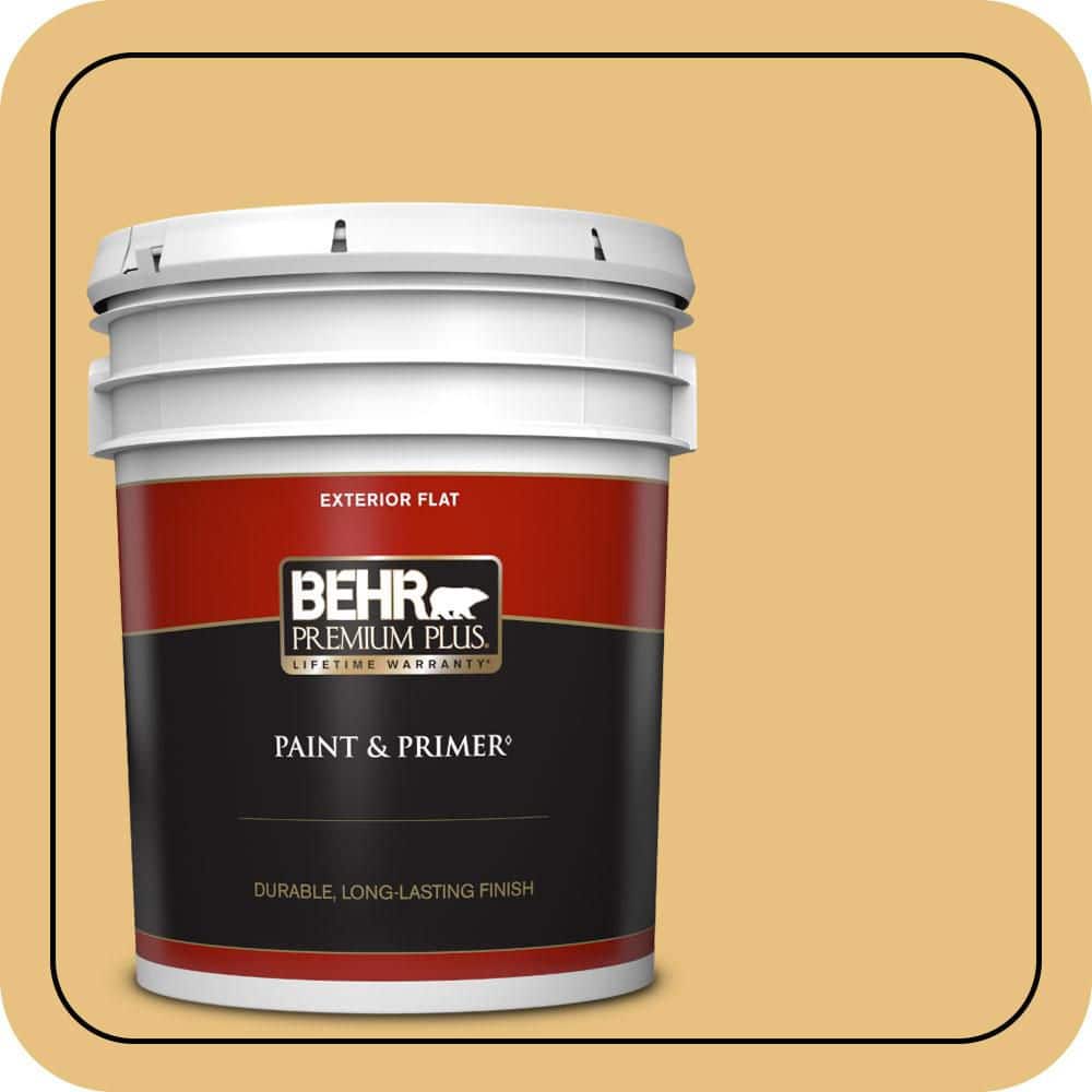 BEHR PREMIUM PLUS 5 gal. #PPU6-14 Charismatic Flat Exterior Paint & Primer