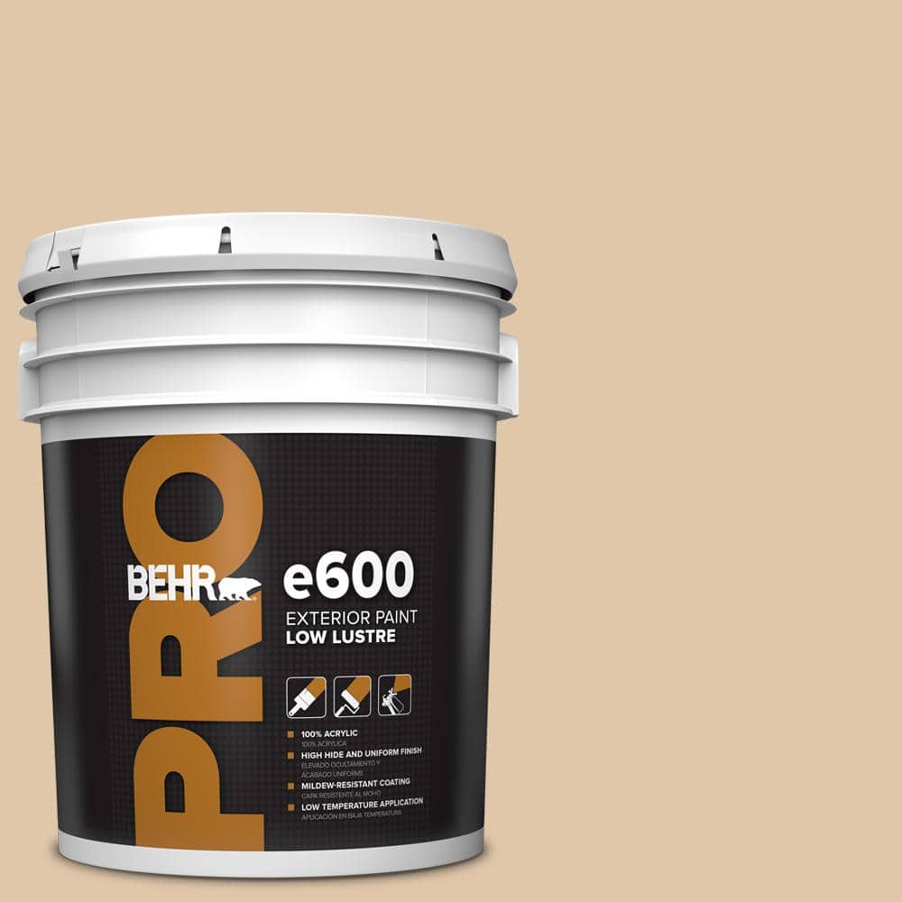 BEHR PRO 5 gal. #S260-2 Pumpkin Seed Low Luster Exterior Paint