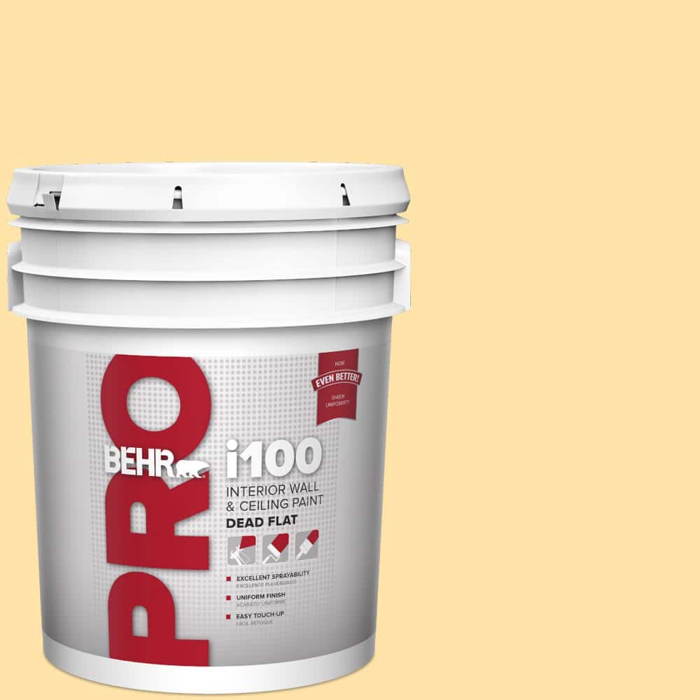 BEHR PRO 5 gal. #P270-3 Sunflower Seed Dead Flat Interior Paint