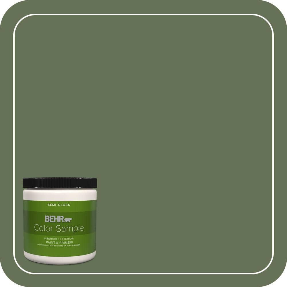 BEHR PREMIUM PLUS #PMD-46 French Tarragon Flat Low Odor & Primer (1)