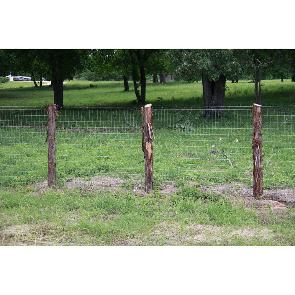 Grip-Rite 1-1/2 in. x 1/4 in. 9-Gauge Hot Dipped Galvanized Smooth Shank Fencing Staples 5 lb. Box (3)