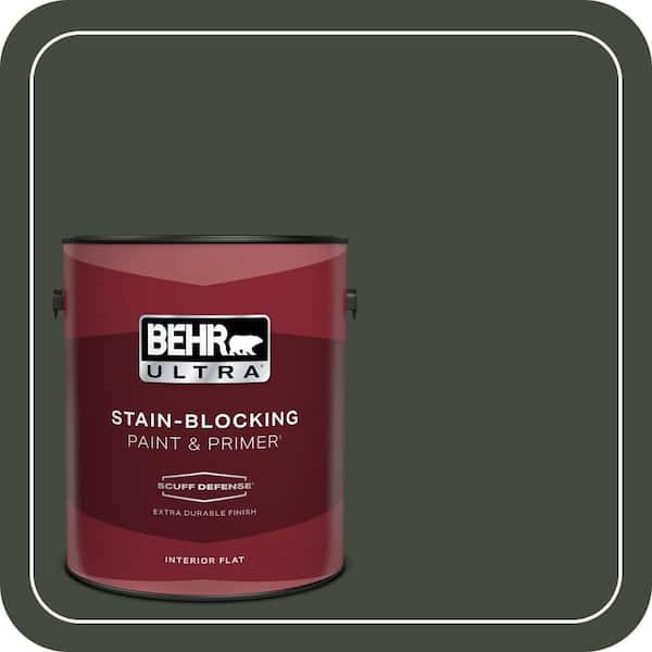 BEHR PREMIUM PLUS #BXC-12 Deep Forest Flat Low Odor & Primer (2)