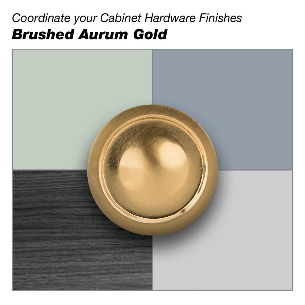 Richelieu Hardware Ventura Collection 18 in. (457 mm) Classic Aurum Brushed Gold Rectangular Appliance Pull (2)
