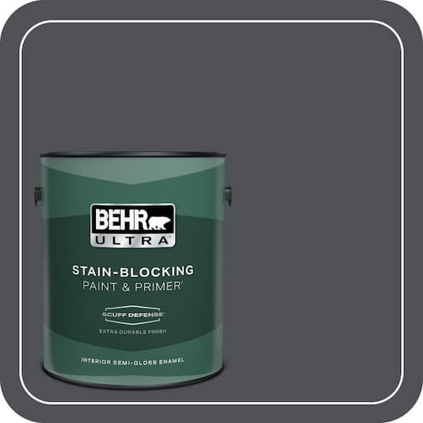 BEHR PREMIUM PLUS Home Decorators Collection #HDC-WR15-4 Lump of Coal Flat Interior/Exterior Paint & Primer Color Sample (2)