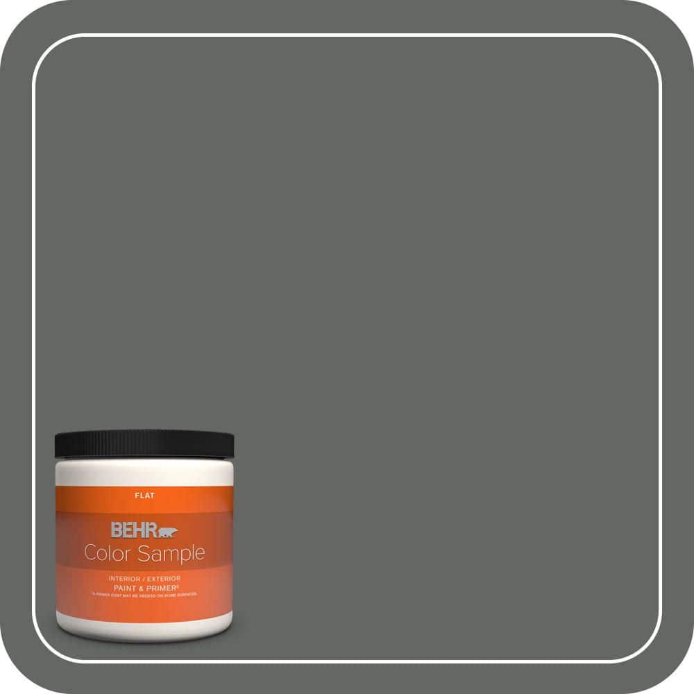 BEHR PREMIUM PLUS #PPU25-02 Black Locust Interior/Exterior Paint & Primer Color Sample (1)