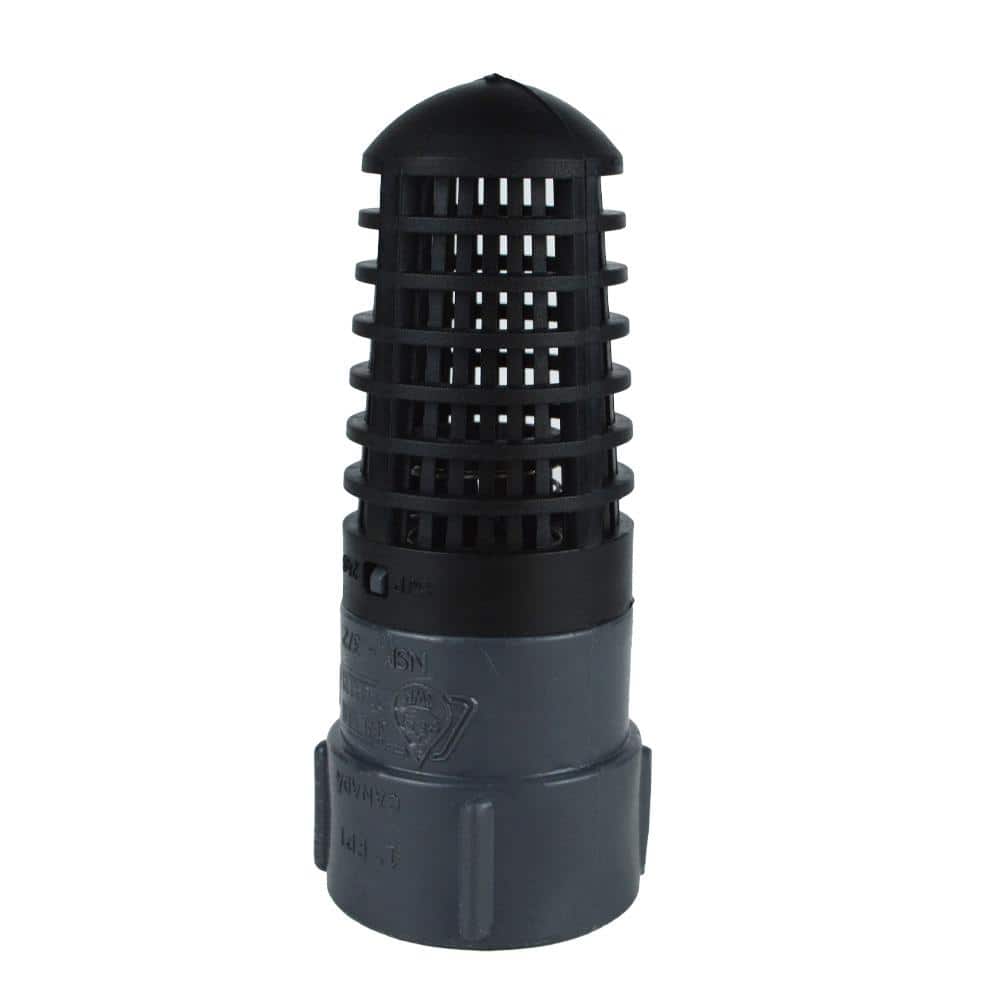 Water Source 1 in. Plastic Foot Valve