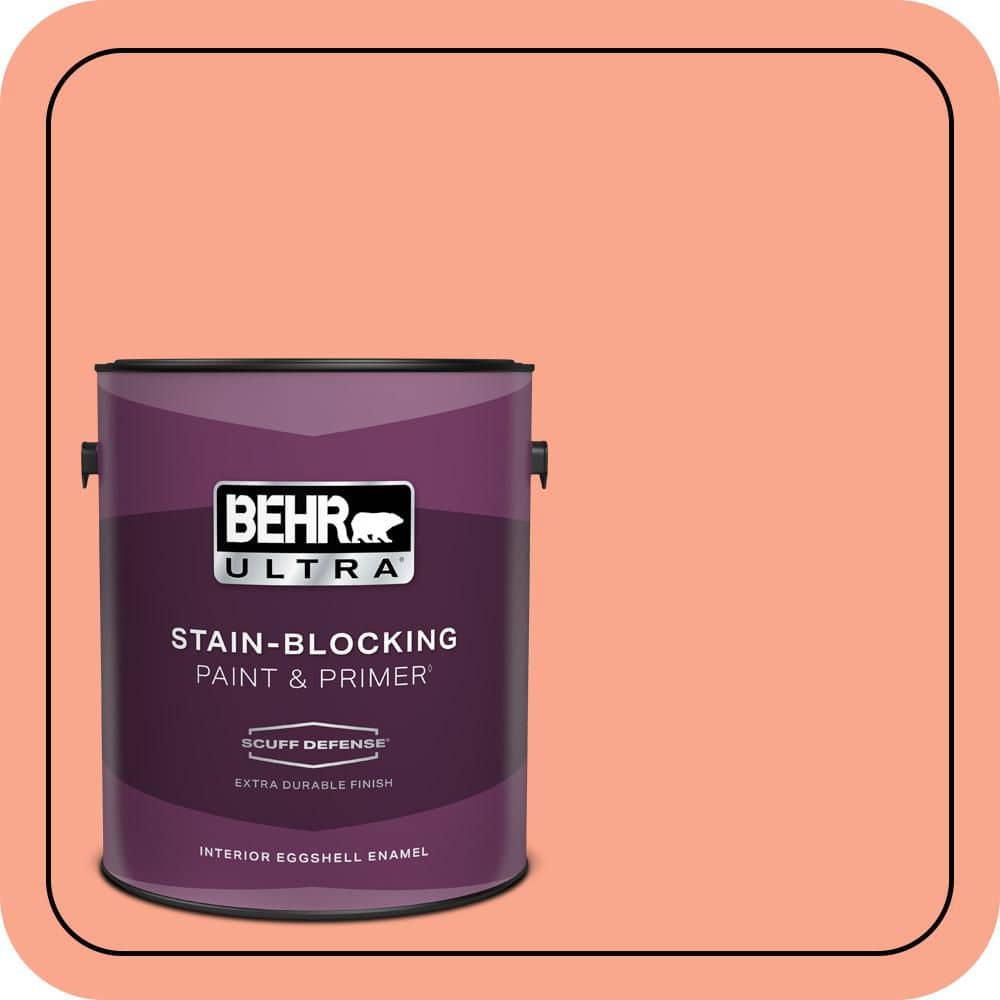 BEHR PREMIUM PLUS #200B-4 Citrus Hill Enamel Low Odor & Primer (1)