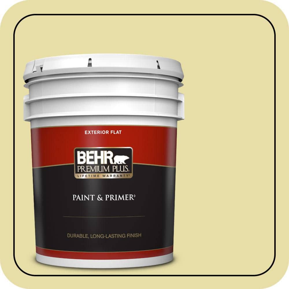 BEHR PREMIUM PLUS 5 gal. #P350-3 Green Charm Flat Exterior Paint & Primer