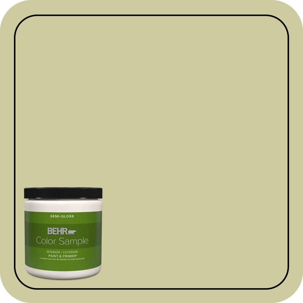 BEHR PREMIUM PLUS #MQ4-41 Anjou Pear Enamel & Primer Color Sample (1)