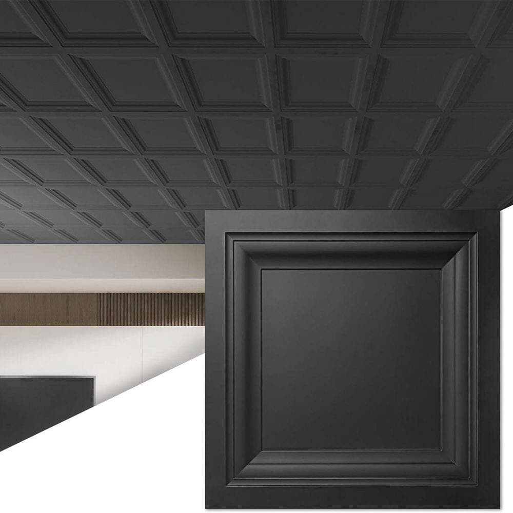 Pro Space 2 ft. x 2 ft. Lay-in Ceiling Tile Panel-PVC/Vinyl with Icon Relief, Black Finish, Feather-Light (Case of 40) (3)