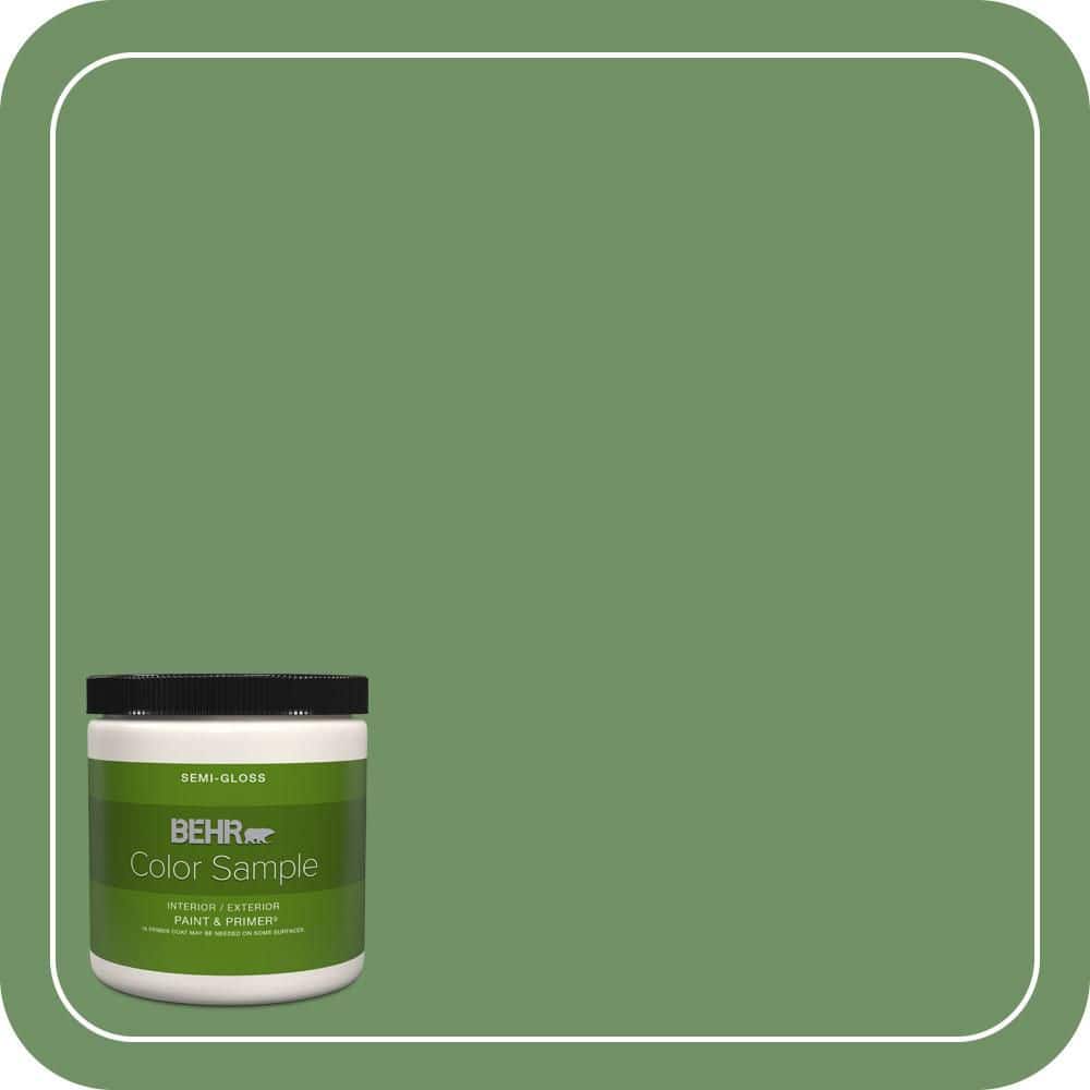 BEHR PREMIUM PLUS #M400-6A Mossed Opportunity Interior/Exterior Paint & Primer Color Sample (1)
