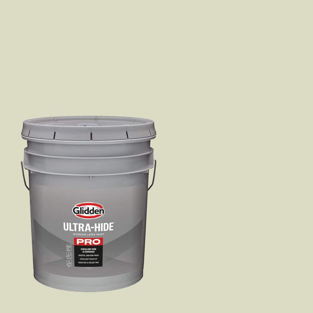 Glidden Ultra-Hide 1 gal. PPG1115-3 Slow Dance Eggshell Interior Paint