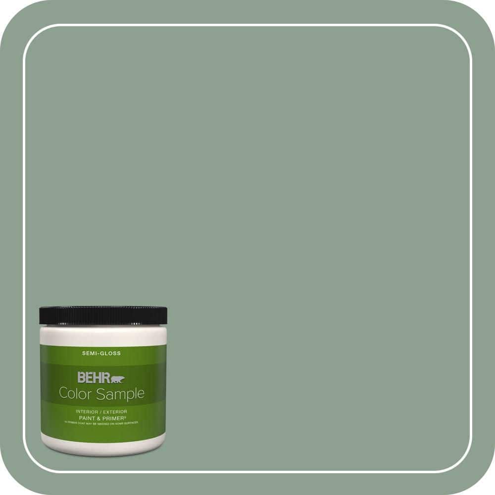 BEHR PREMIUM PLUS #ECC-52-3 Hillside View Flat Low Odor & Primer (1)