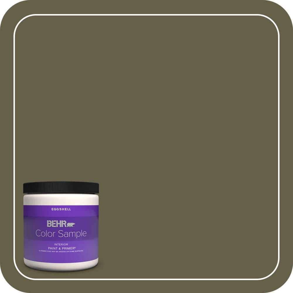 BEHR PREMIUM PLUS #PPU9-01 Alligator Skin Enamel & Primer Color Sample (1)