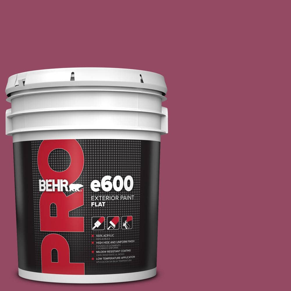 BEHR PRO 5 gal. #P120-7 Glitterati Flat Exterior Paint