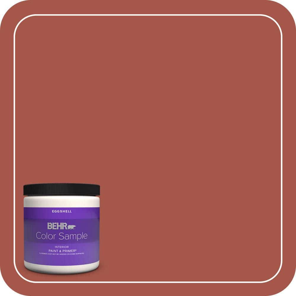 BEHR PREMIUM PLUS #ECC-62-3 Volcanic Enamel & Primer Color Sample (1)