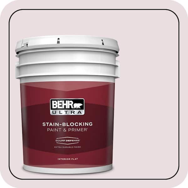 BEHR PREMIUM PLUS Home Decorators Collection #HDC-CT-08 Pink Posey Flat Low Odor & Primer (2)