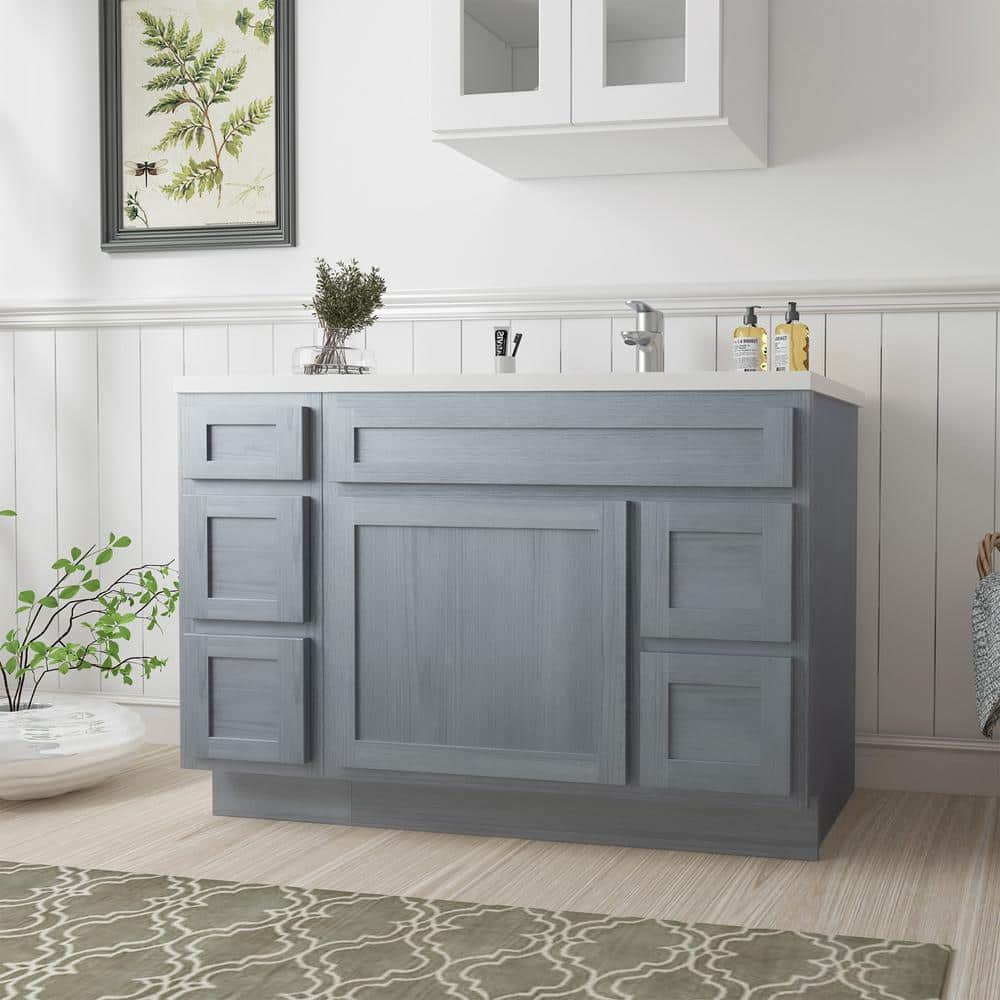 Vanity Art Montclair 48 in. 1-Door and 5-Drawer Freestanding Shaker Bathroom Vanity Cabinet (No Top) in Silver - Unassembled (2)