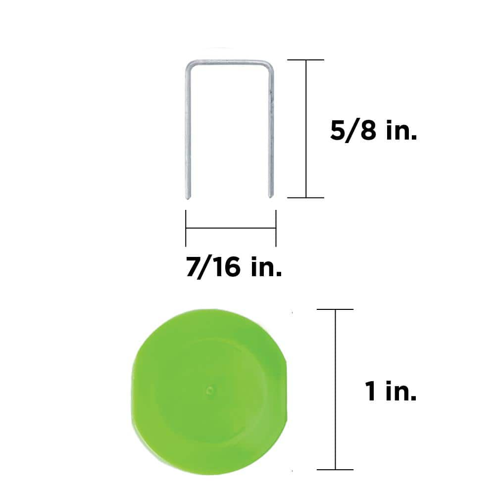 Stinger 5/8 in. Collated StaplePac (2000 per Box) (2)