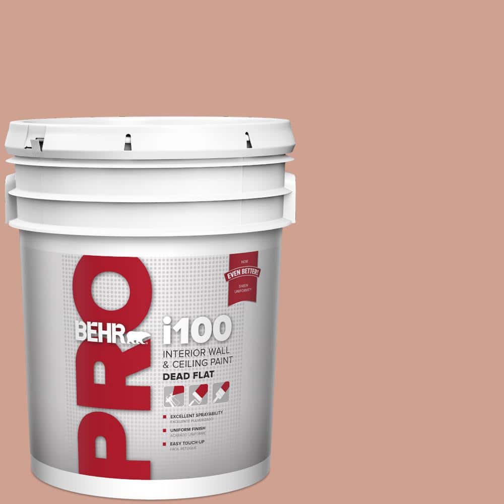 BEHR PRO 5 gal. #S180-4 Shiny Kettle Dead Flat Interior Paint