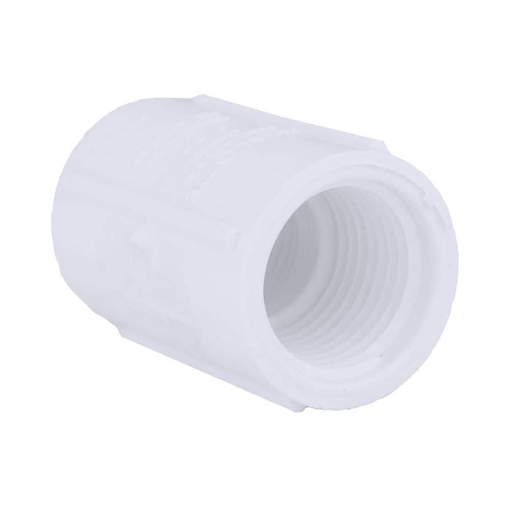 Charlotte Pipe 1/2 in. PVC Schedule 40 FPT x FPT Coupling (1)