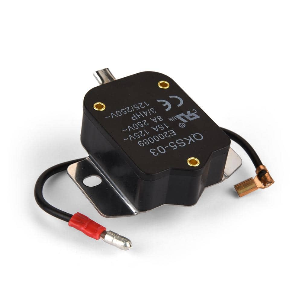 Everbilt Cast Iron Sump Pump Switch Assembly (2)