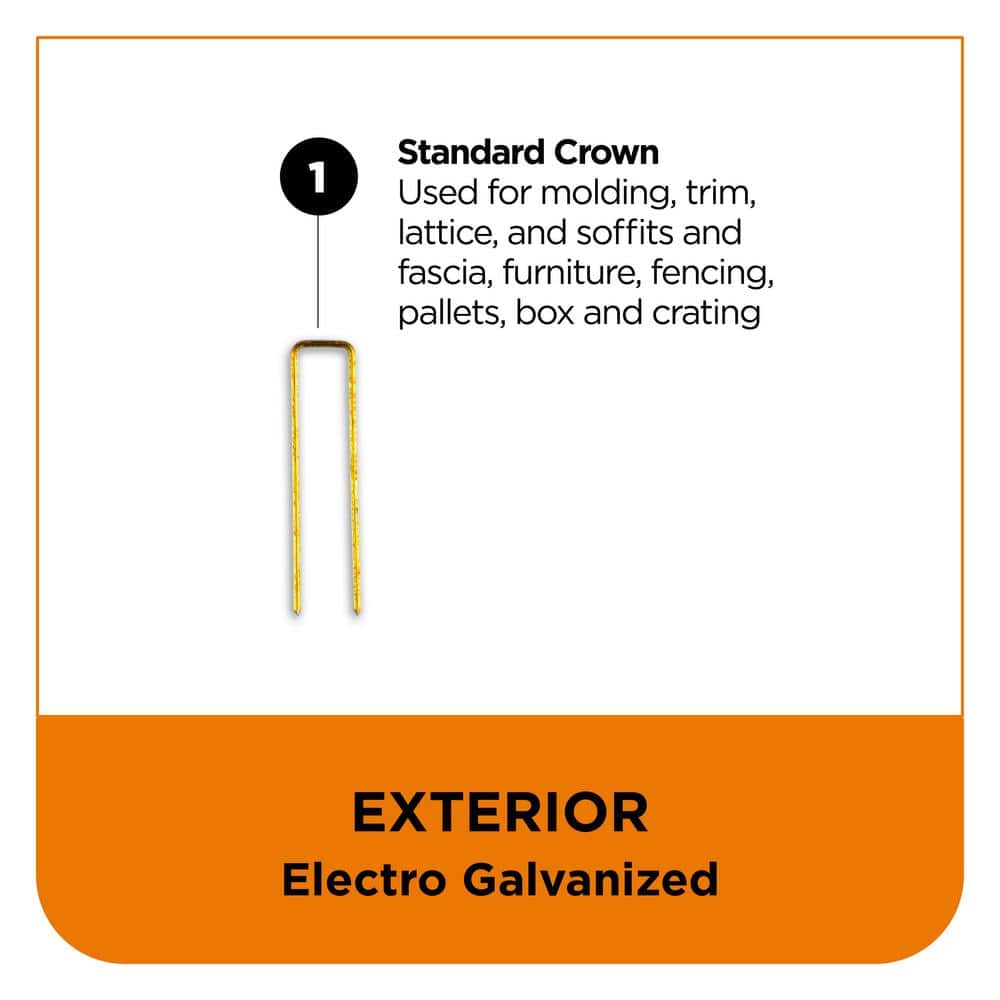 PRO-FIT 1-1/2 in. x 16-Gauge Electro Galvanized N Style Medium Crown Staples (10,000 per Box) (3)