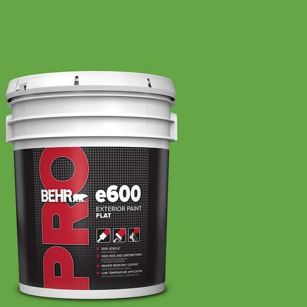 BEHR PRO 5 gal. #430B-6 Caterpillar Flat Exterior Paint (2)