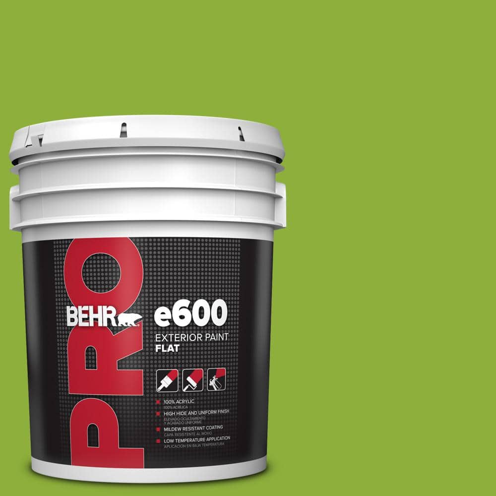 BEHR PRO 5 gal. #420B-6 New Green Flat Exterior Paint