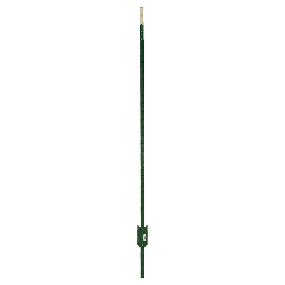 Everbilt 1-3/4 in. 3-1/2 in. 8 ft. Green Steel Fence T-Post with Anchor Plate