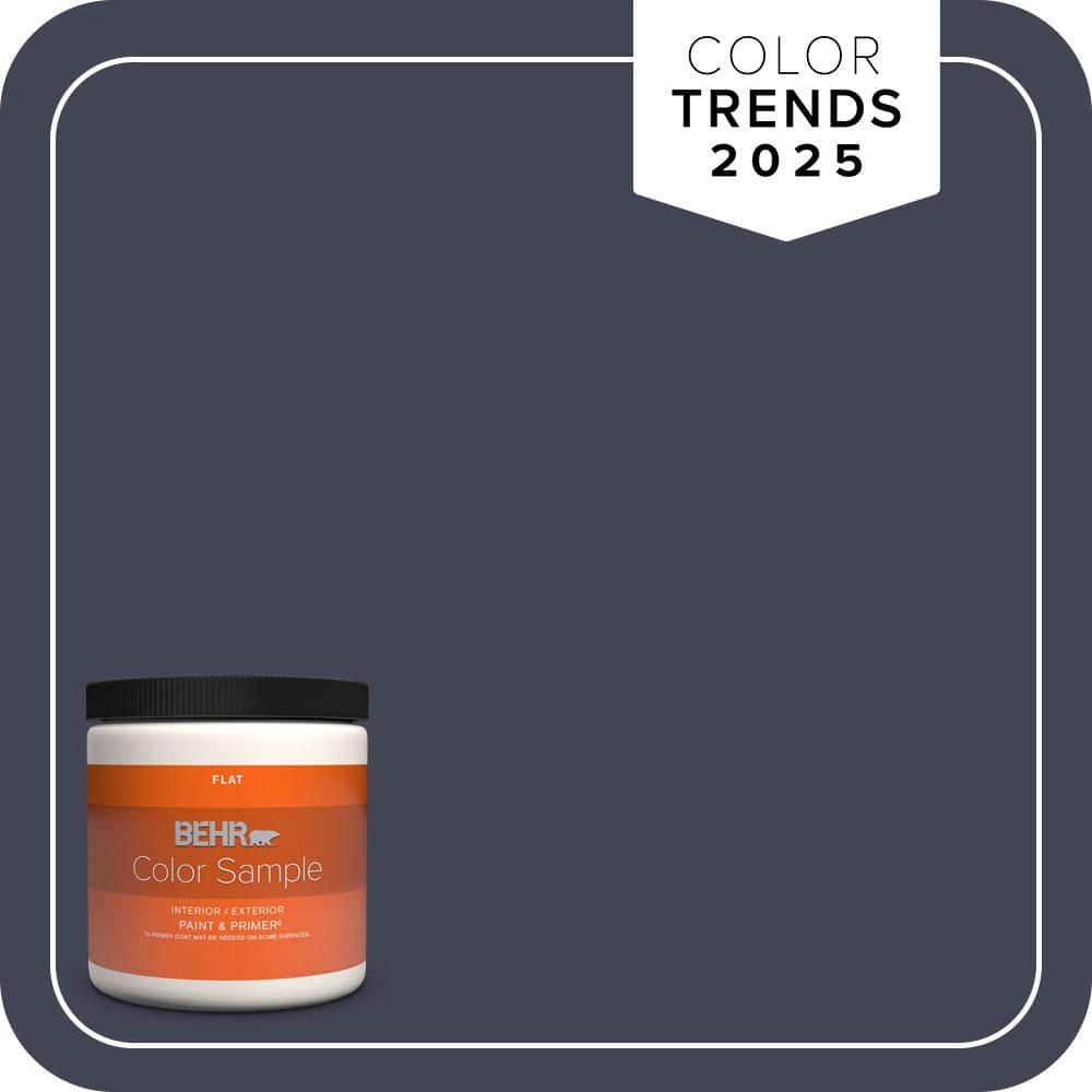 BEHR PREMIUM PLUS #PPU15-19 Black Sapphire Flat Low Odor & Primer