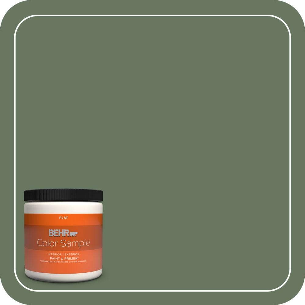 BEHR PREMIUM PLUS #440F-6 Old Vine Flat Low Odor & Primer (1)