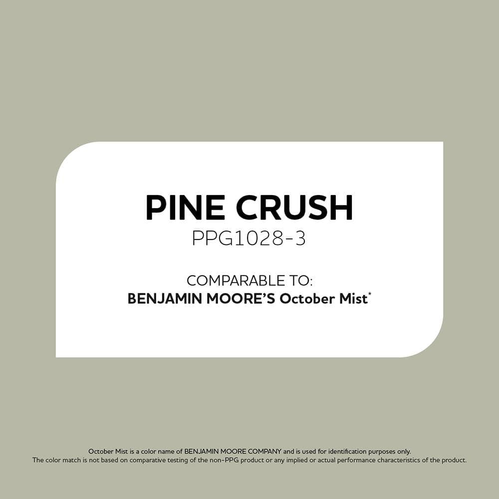 Glidden PPG1028-3 Pine Crush Sample (2)