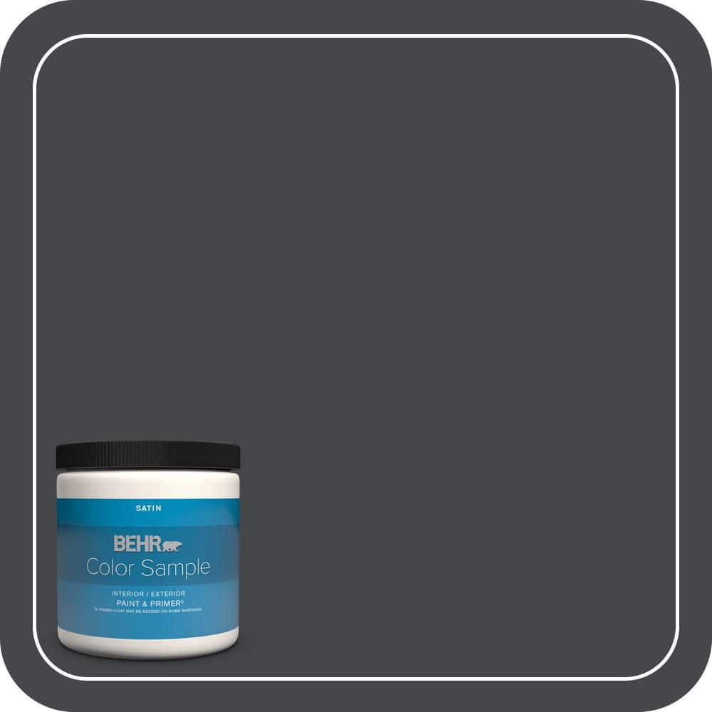 BEHR PREMIUM PLUS #PPU26-23A Dark Secret Enamel Interior/Exterior Paint & Primer Color Sample