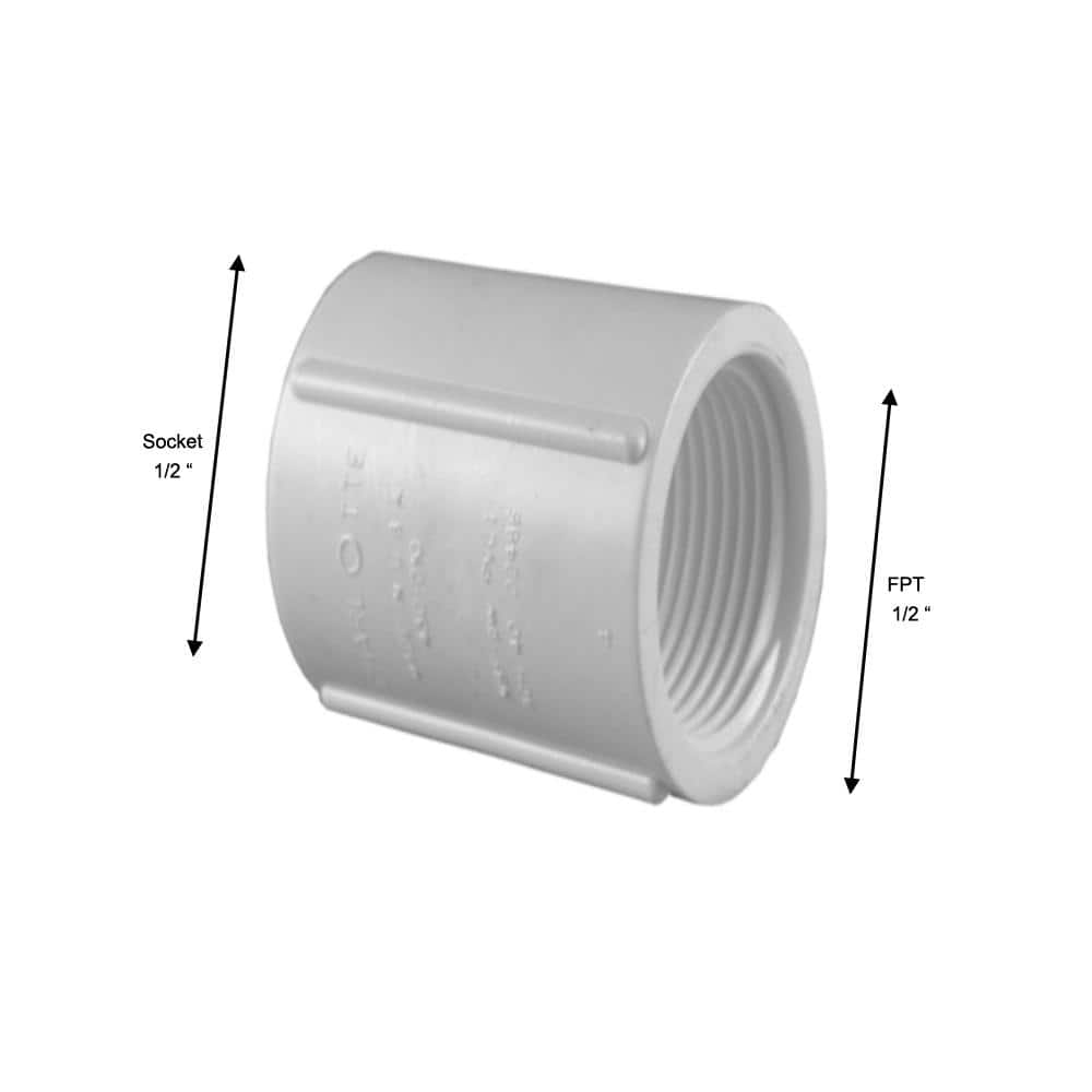 Charlotte Pipe 1/2 in. PVC Schedule 40 FPT x FPT Coupling (4)