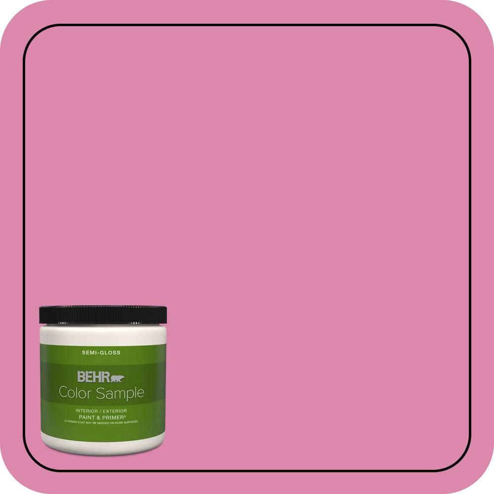 BEHR PREMIUM PLUS #100B-5 Springtime Bloom Interior/Exterior Paint & Primer Color Sample (1)