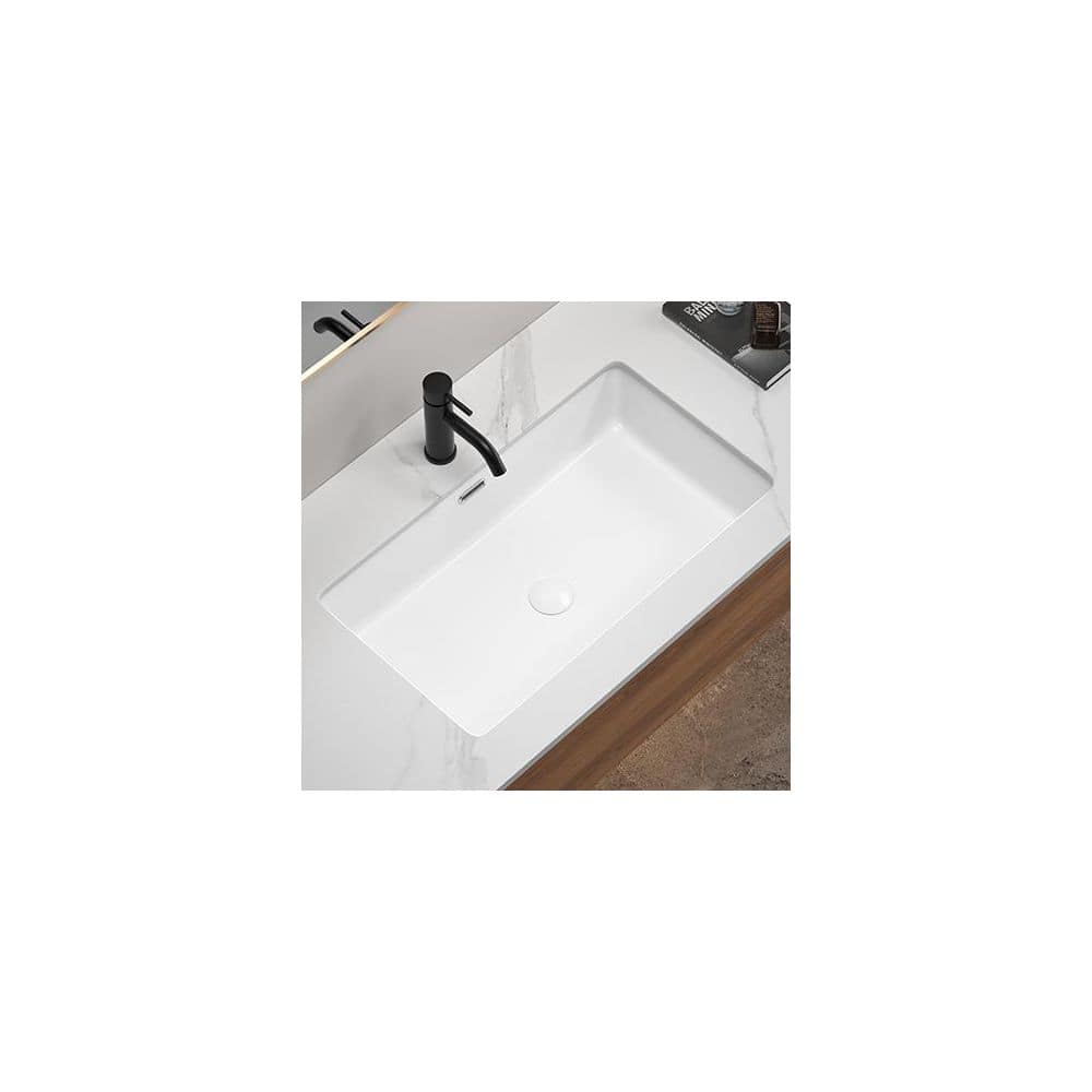 cadeninc 27.56 in. x 15.75 in. White Ceramic Rectangular Single Bowl Undermount Bathroom Sink/Lavatory Vanity Basin (2)