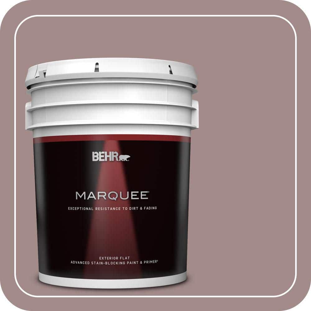 BEHR MARQUEE 5 gal. #PPU17-15 Cameo Rose Flat Exterior Paint & Primer (1)