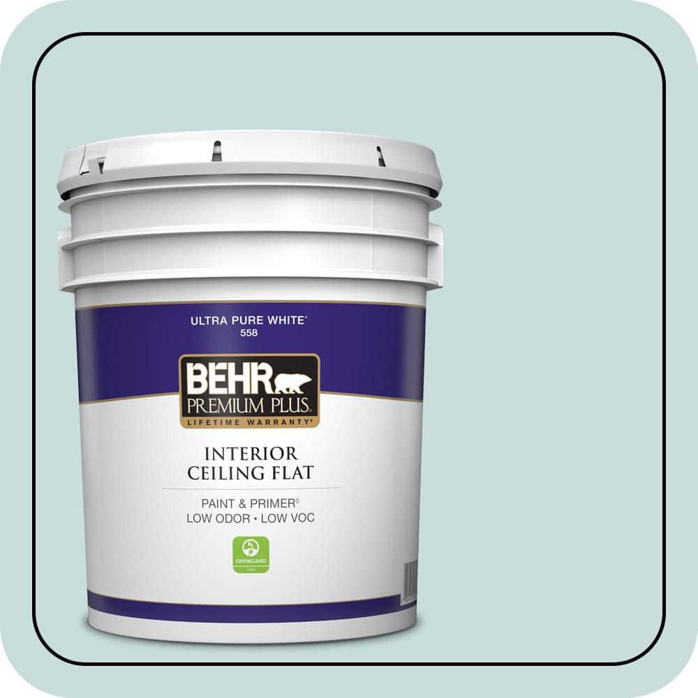 BEHR PREMIUM PLUS 5 gal. #S440-1 Sunken Pool Ceiling Flat Interior Paint & Primer (1)