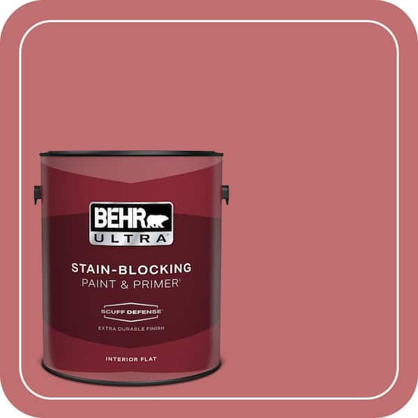 BEHR PREMIUM PLUS Home Decorators Collection #HDC-SP14-8 Art House Pink Enamel Interior/Exterior Paint & Primer Color Sample (2)