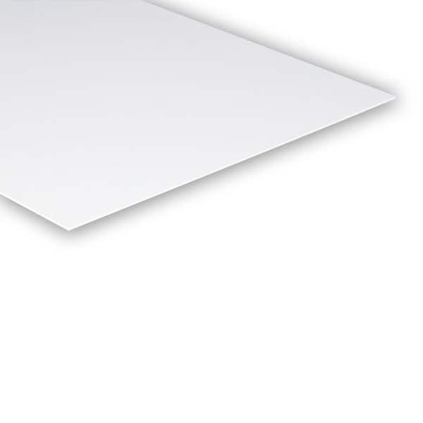 Unbranded 1/16 in. x 4 ft. x 8 ft. Plastic Panel (2)
