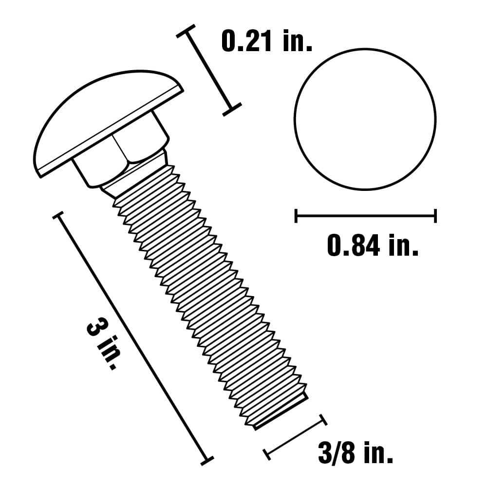 Everbilt 3/8 in.-16 x 3 in. Stainless Steel Carriage Bolt (3)