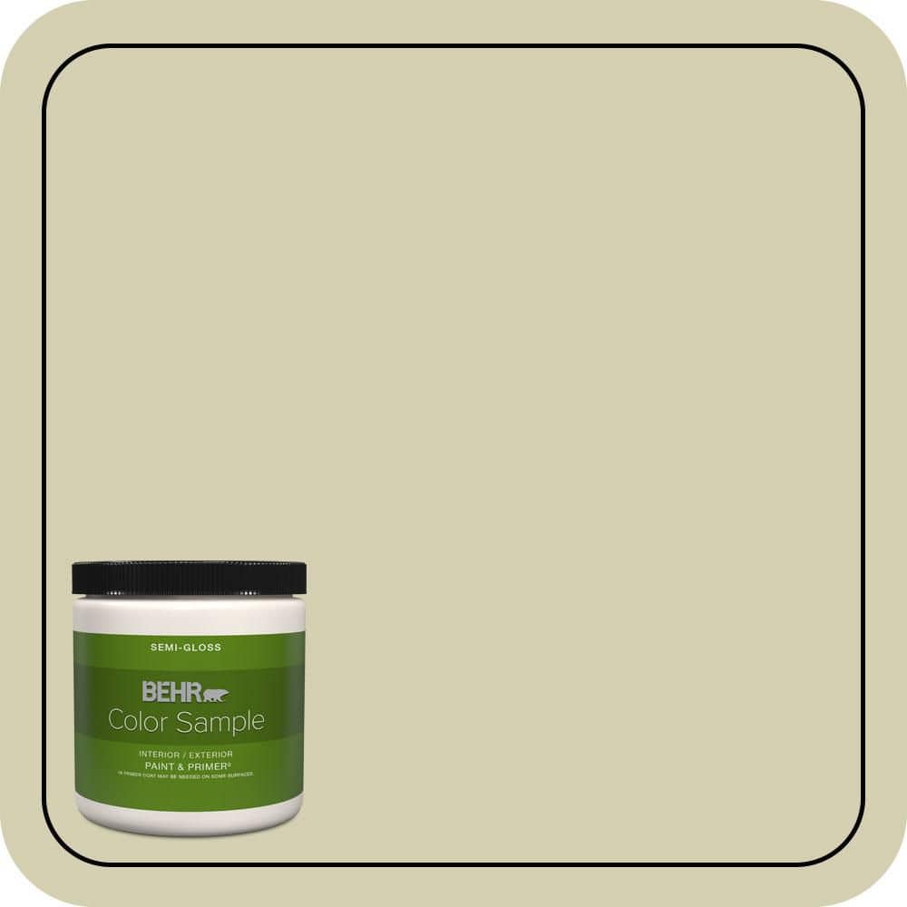 BEHR PREMIUM PLUS #MQ6-55 Pale Ivy Interior/Exterior Paint & Primer Color Sample (1)