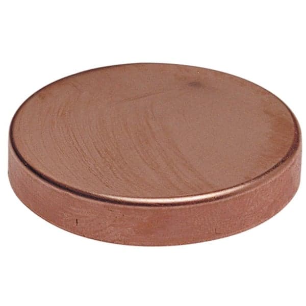 Everbilt 1-1/2 in. Copper Test Cap Fitting (2)